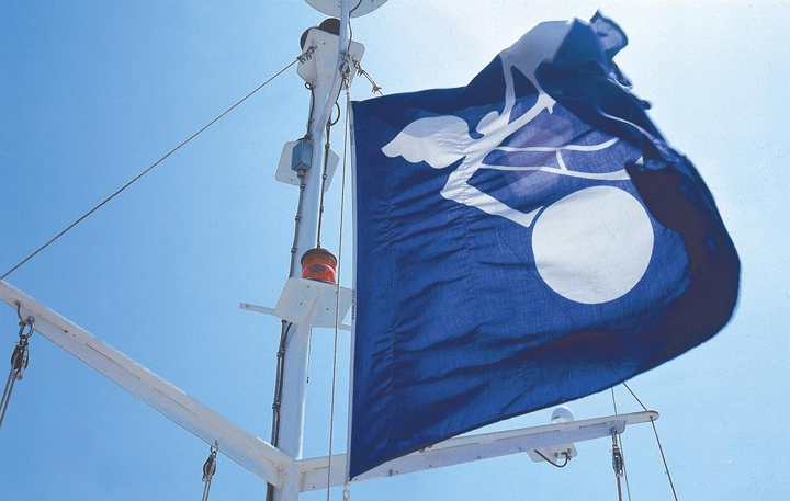 Panalpina_Flag_web.jpg